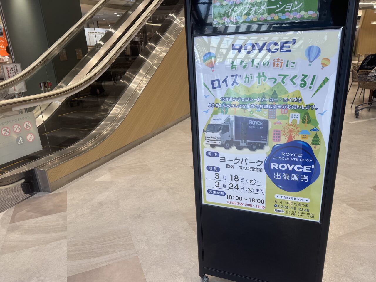 2026年ヨークパークに来ているロイズカー