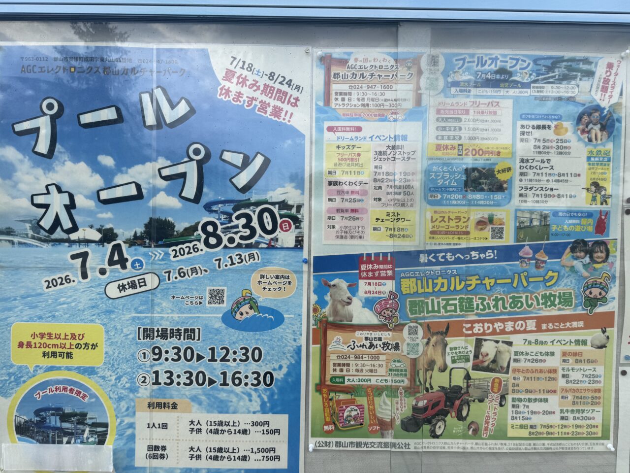 2026年8月のカルチャーパークのプール