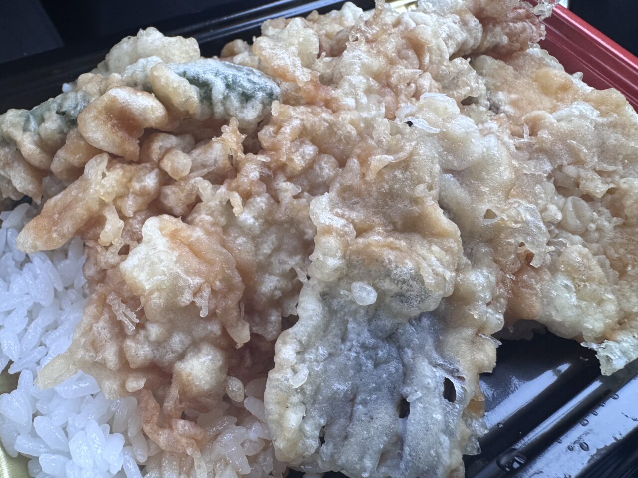 2026年9月あぐりあの天丼